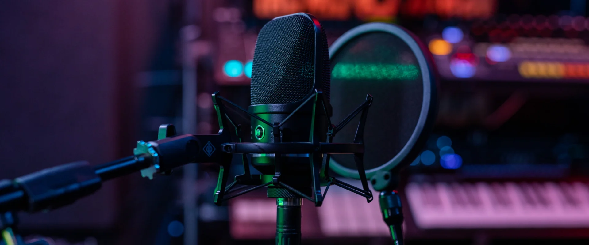 Professional microphone with pop filter