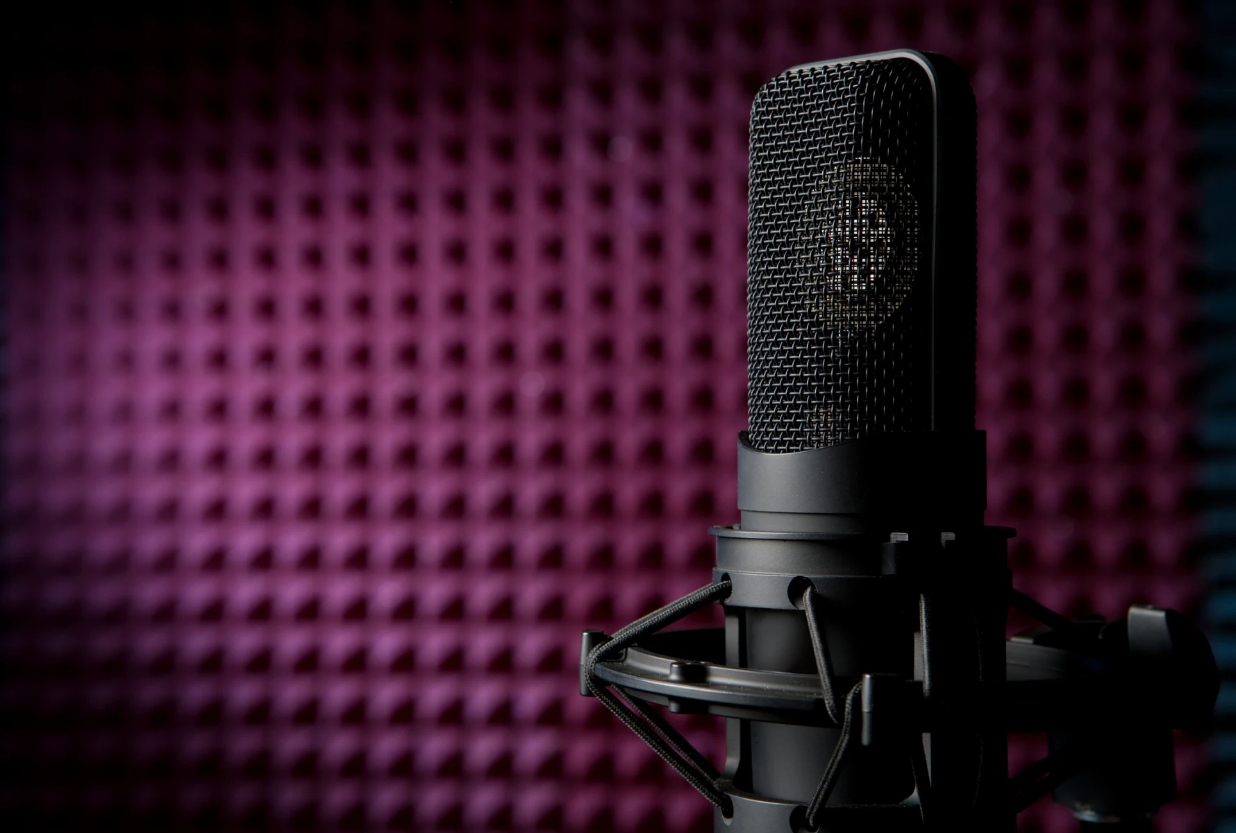 Studio microphone with pop filter